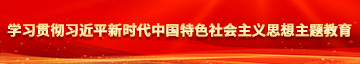 操韩国女人逼学习贯彻习近平新时代中国特色社会主义思想主题教育